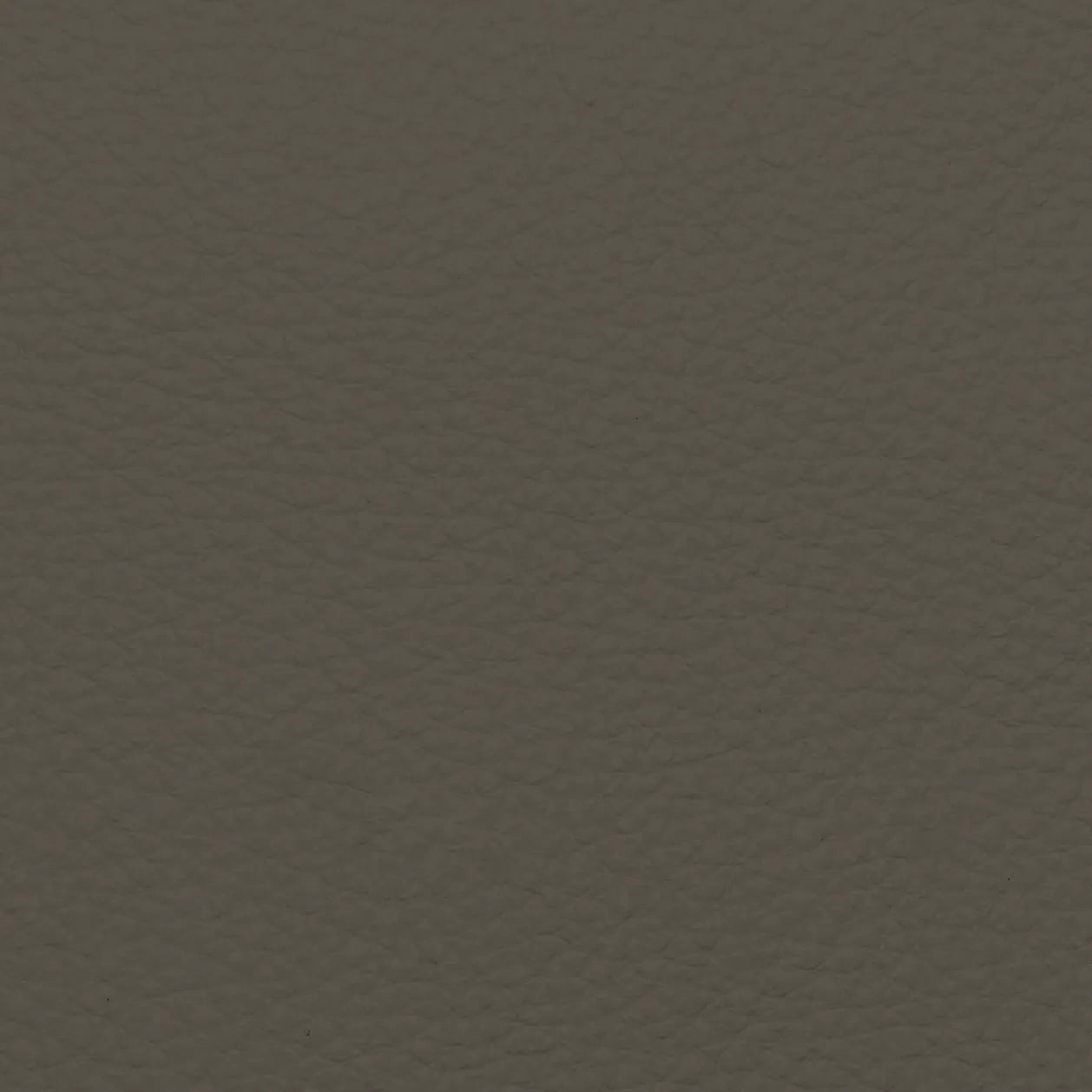 Fabric Sample – Dakota Leather