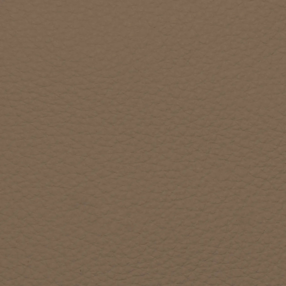 Fabric Sample – Dakota Leather