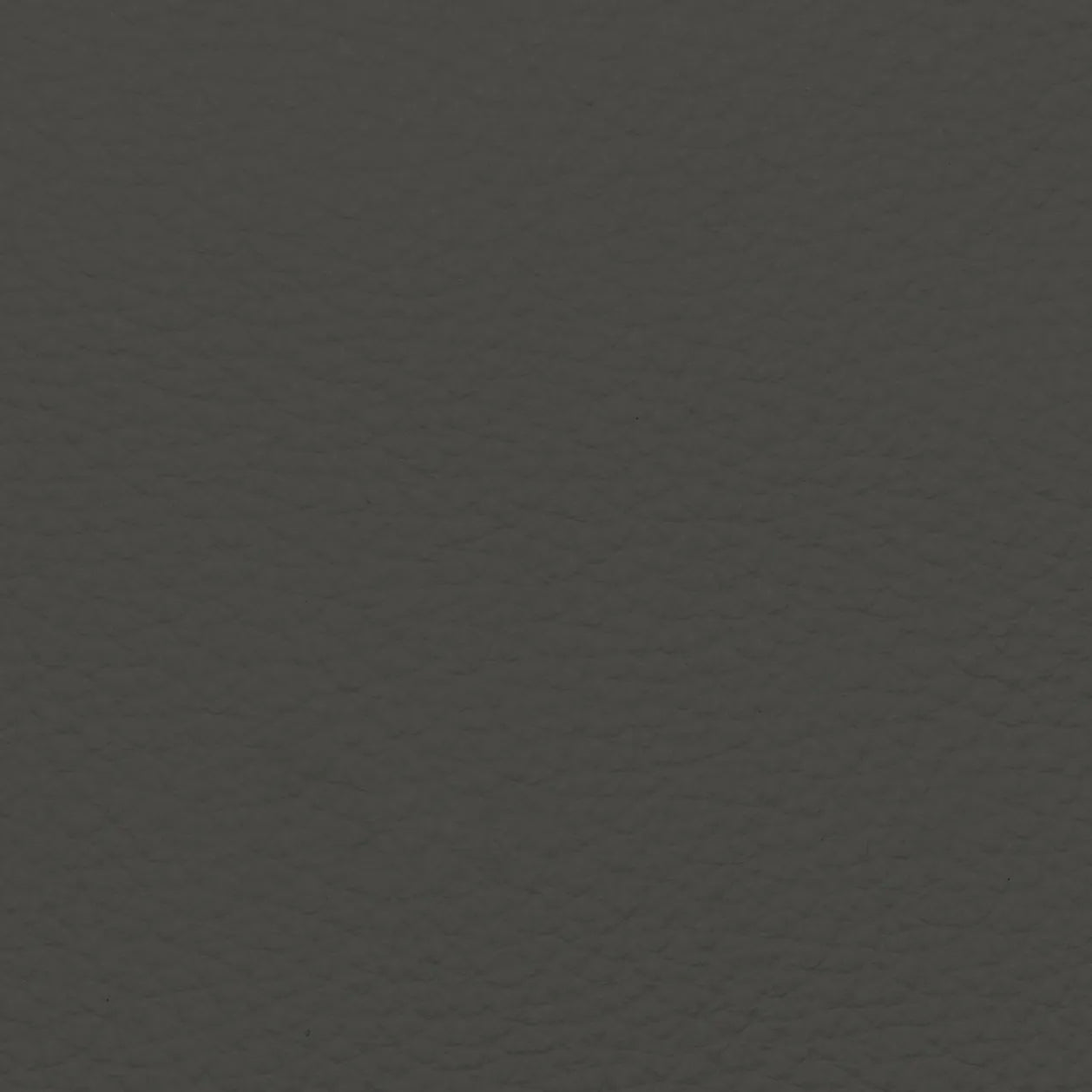 Fabric Sample – Dakota Leather