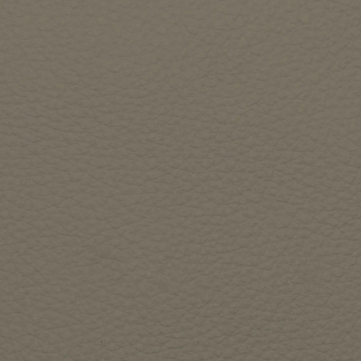 Fabric Sample – Dakota Leather