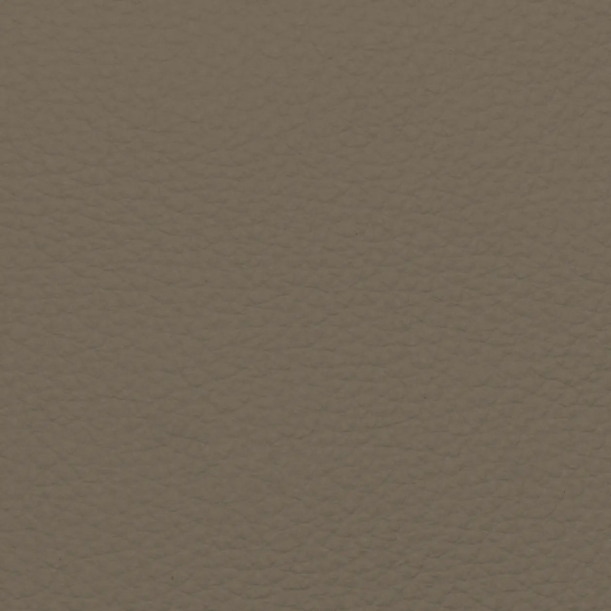 Fabric Sample – Dakota Leather