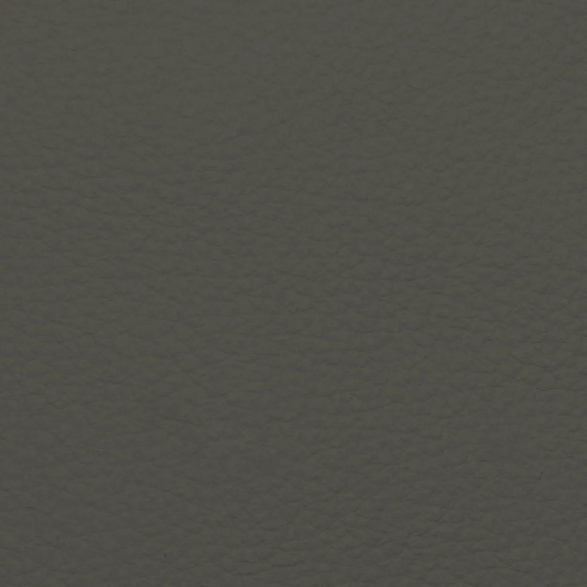 Fabric Sample – Dakota Leather