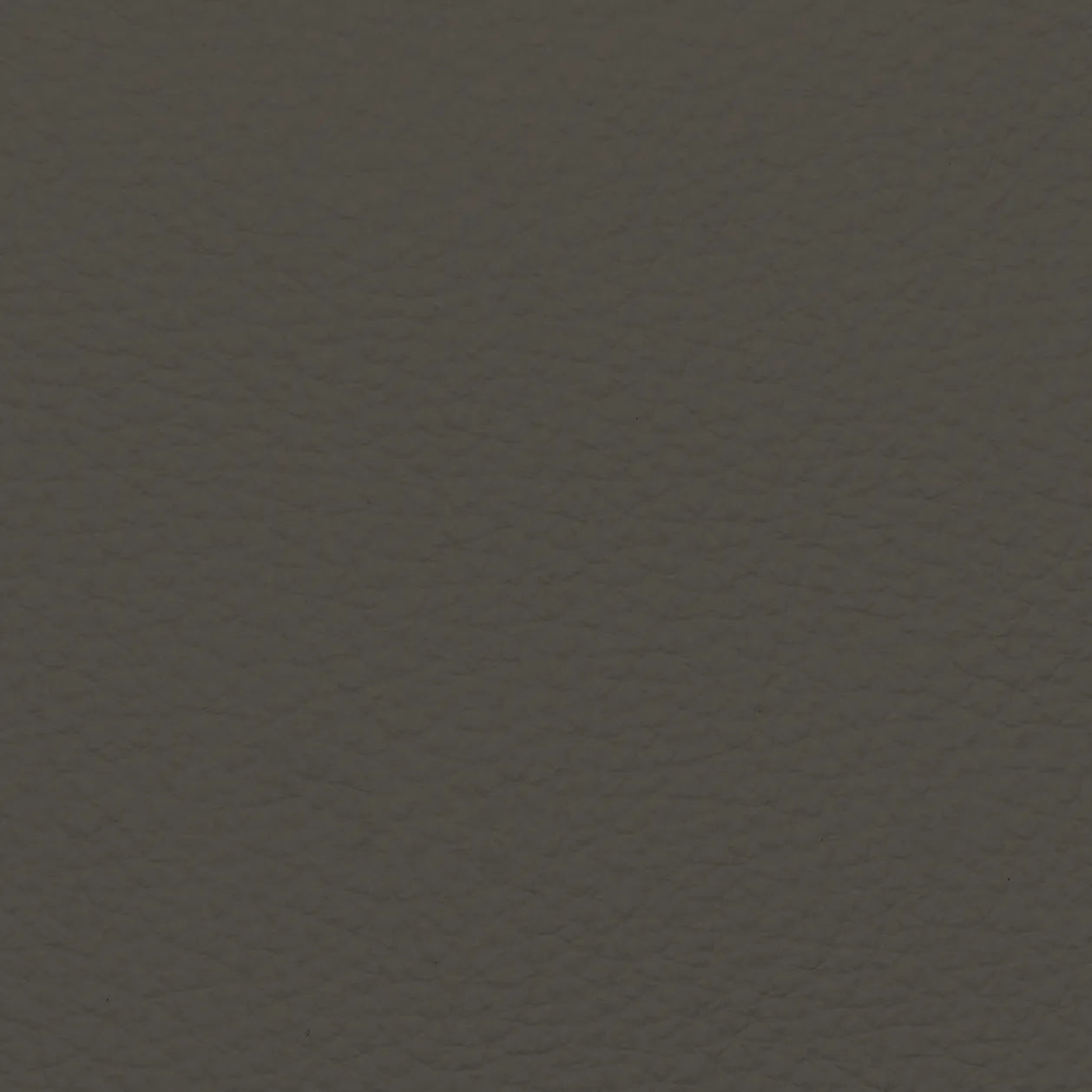 Fabric Sample – Dakota Leather