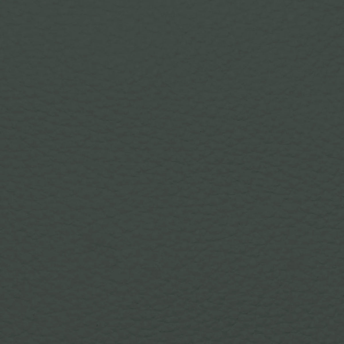 Fabric Sample – Dakota Leather
