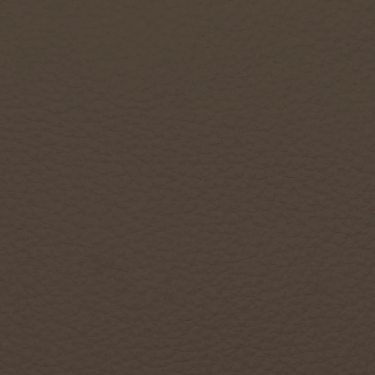 Fabric Sample – Dakota Leather