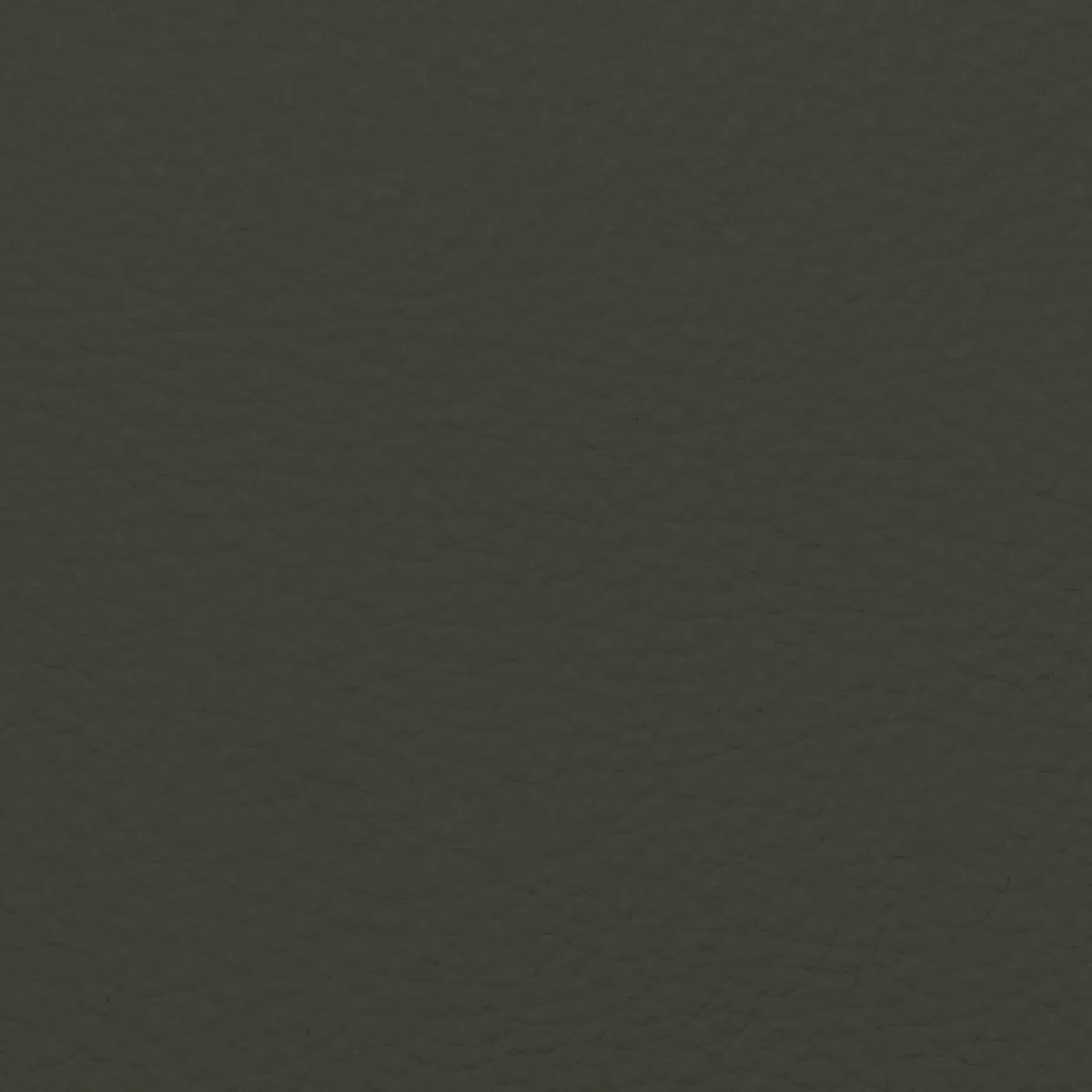 Fabric Sample – Dakota Leather
