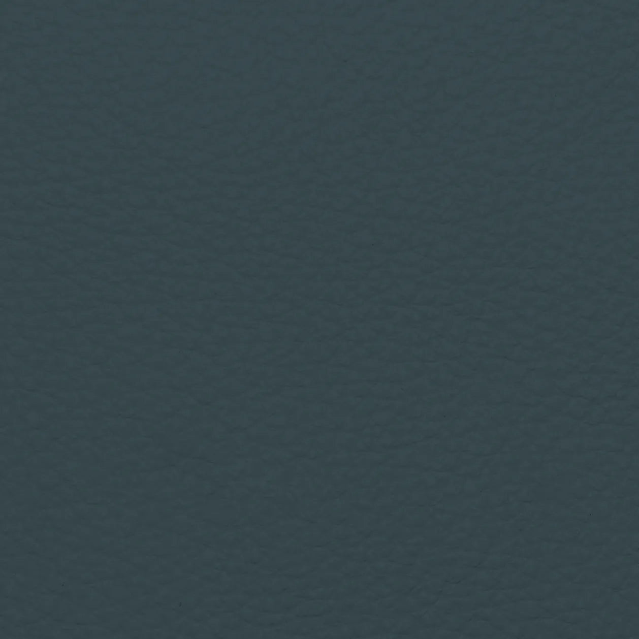 Fabric Sample – Dakota Leather