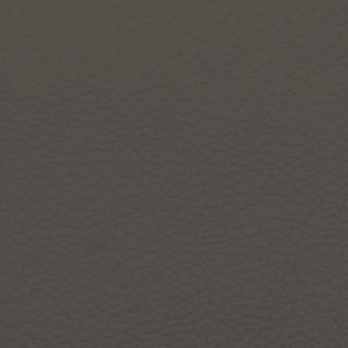 Fabric Sample – Dakota Leather