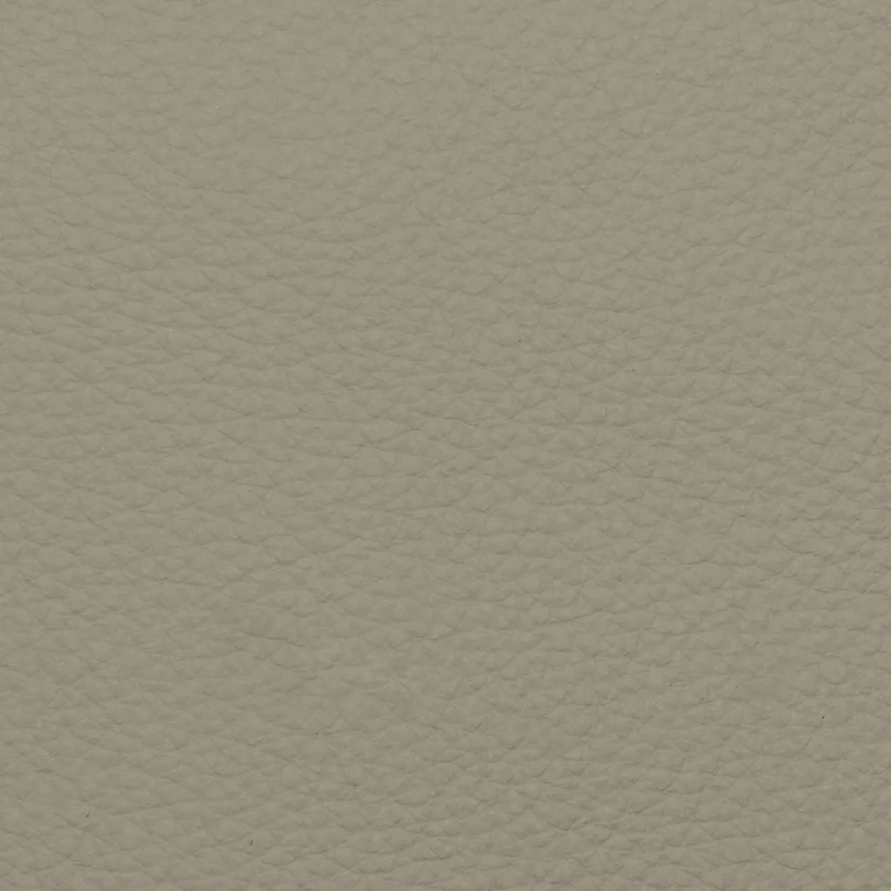 Fabric Sample – Dakota Leather