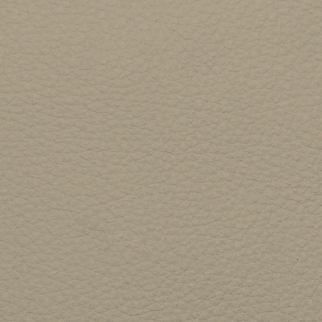 Fabric Sample – Dakota Leather