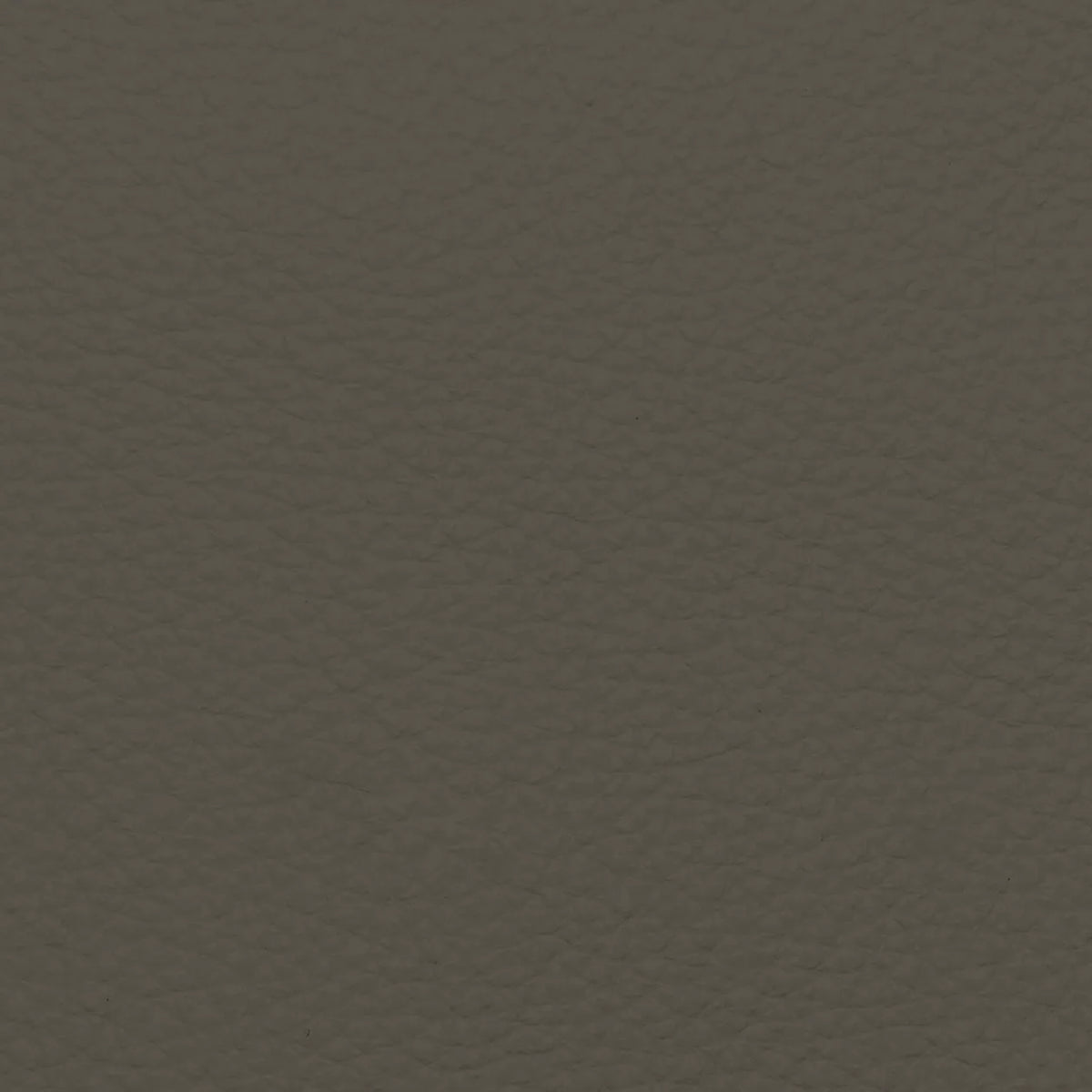 Fabric Sample – Dakota Leather
