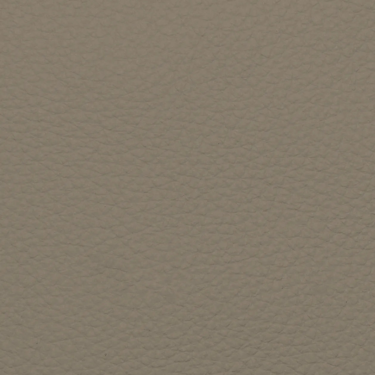 Fabric Sample – Dakota Leather