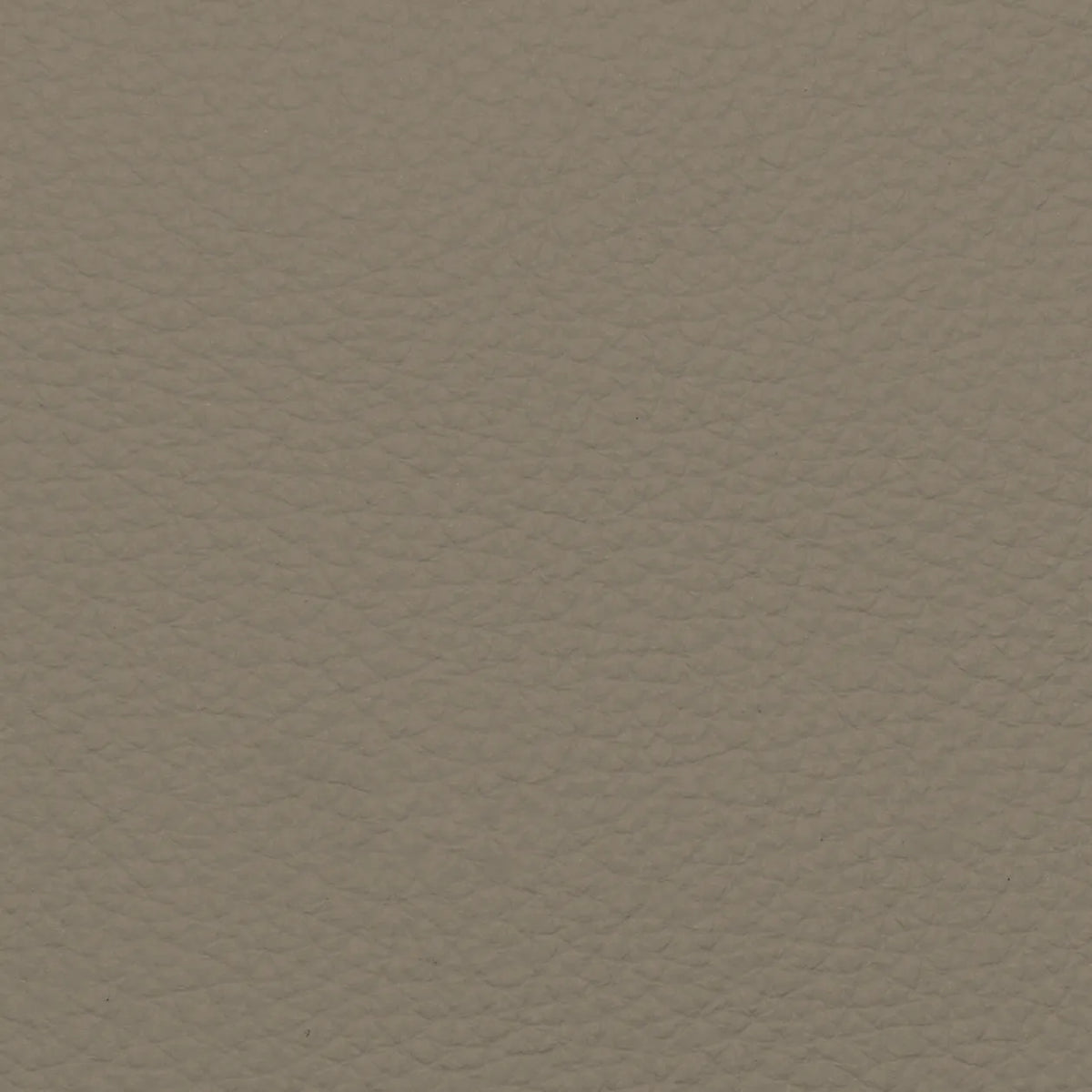 Fabric Sample – Dakota Leather