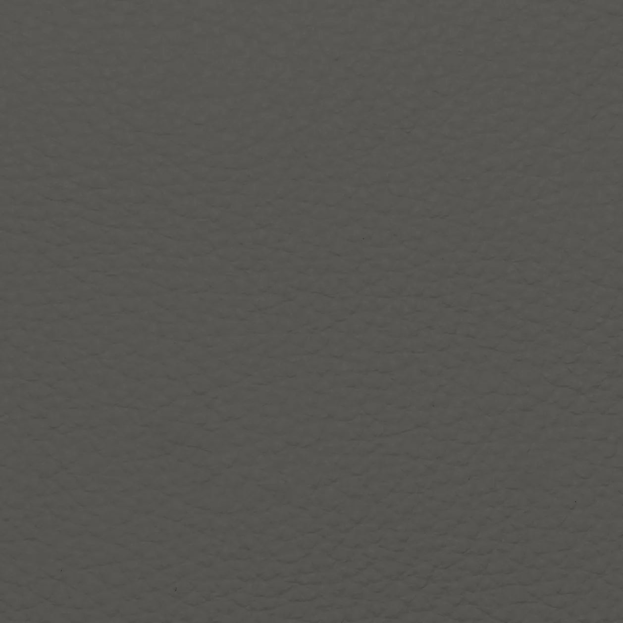 Fabric Sample – Dakota Leather