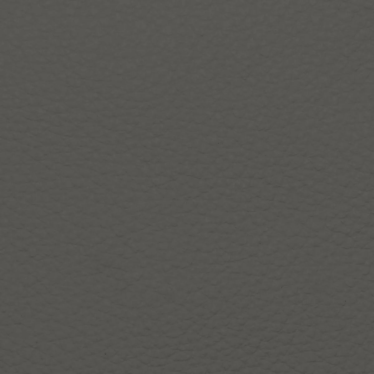 Fabric Sample – Dakota Leather