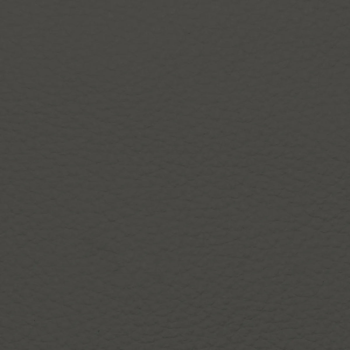 Fabric Sample – Dakota Leather