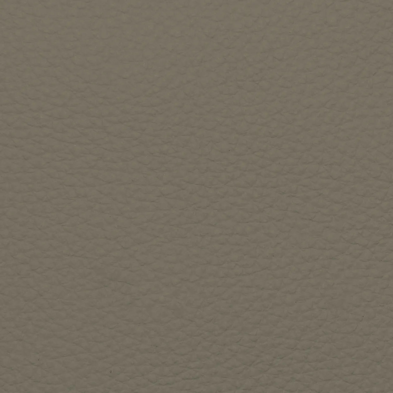 Fabric Sample – Dakota Leather
