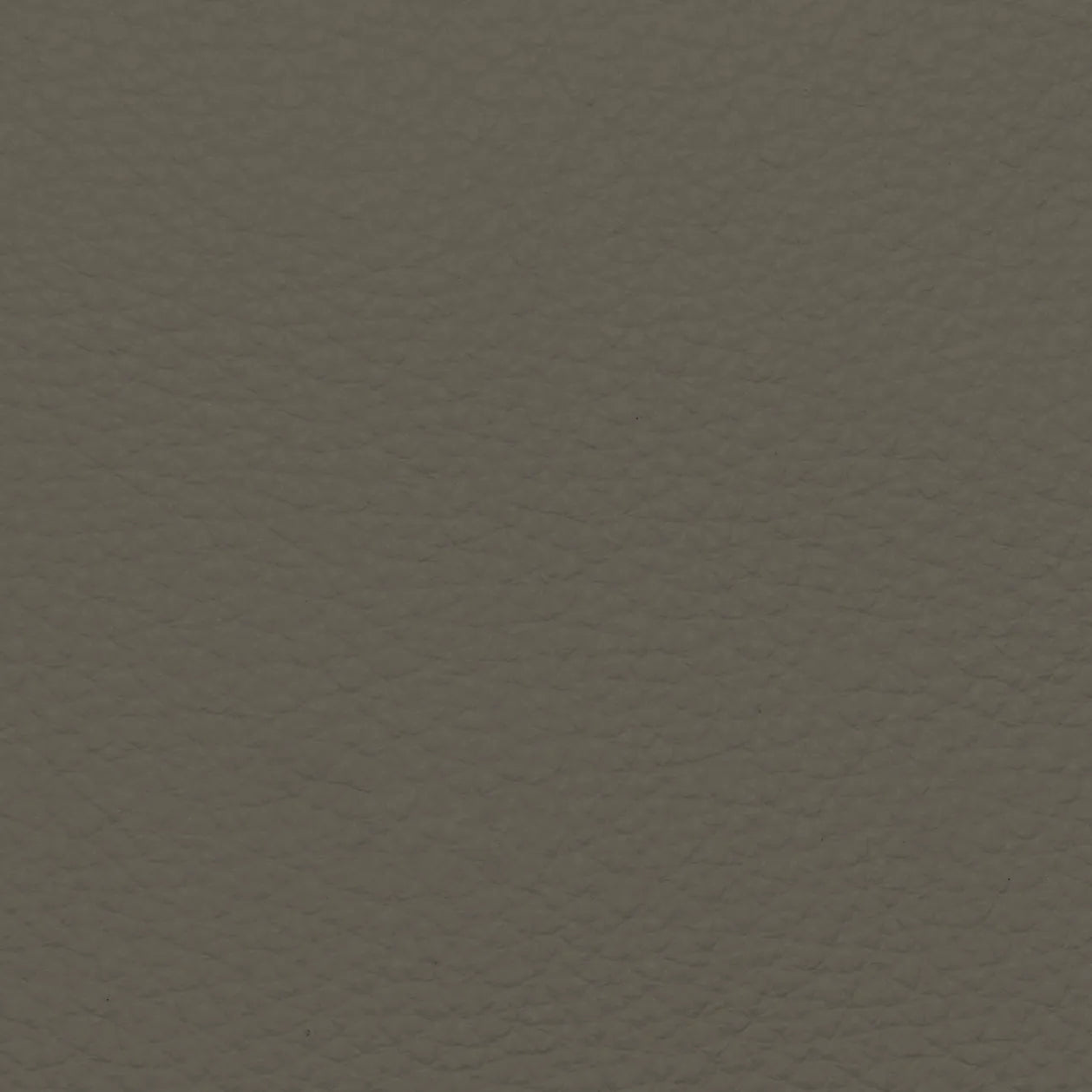Fabric Sample – Dakota Leather