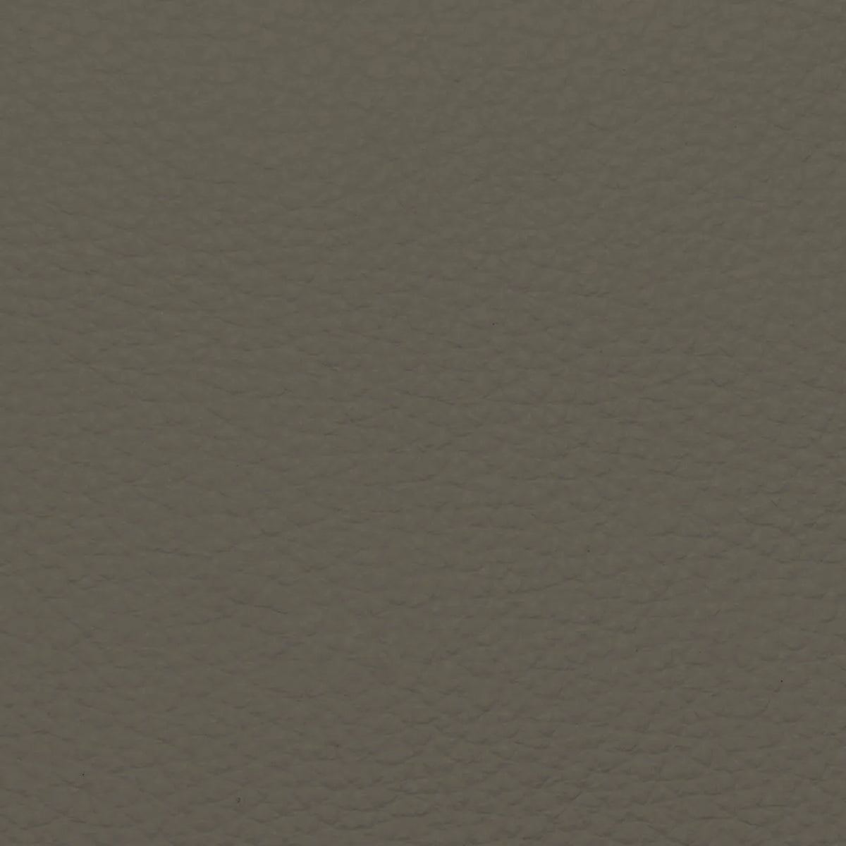 Fabric Sample – Dakota Leather