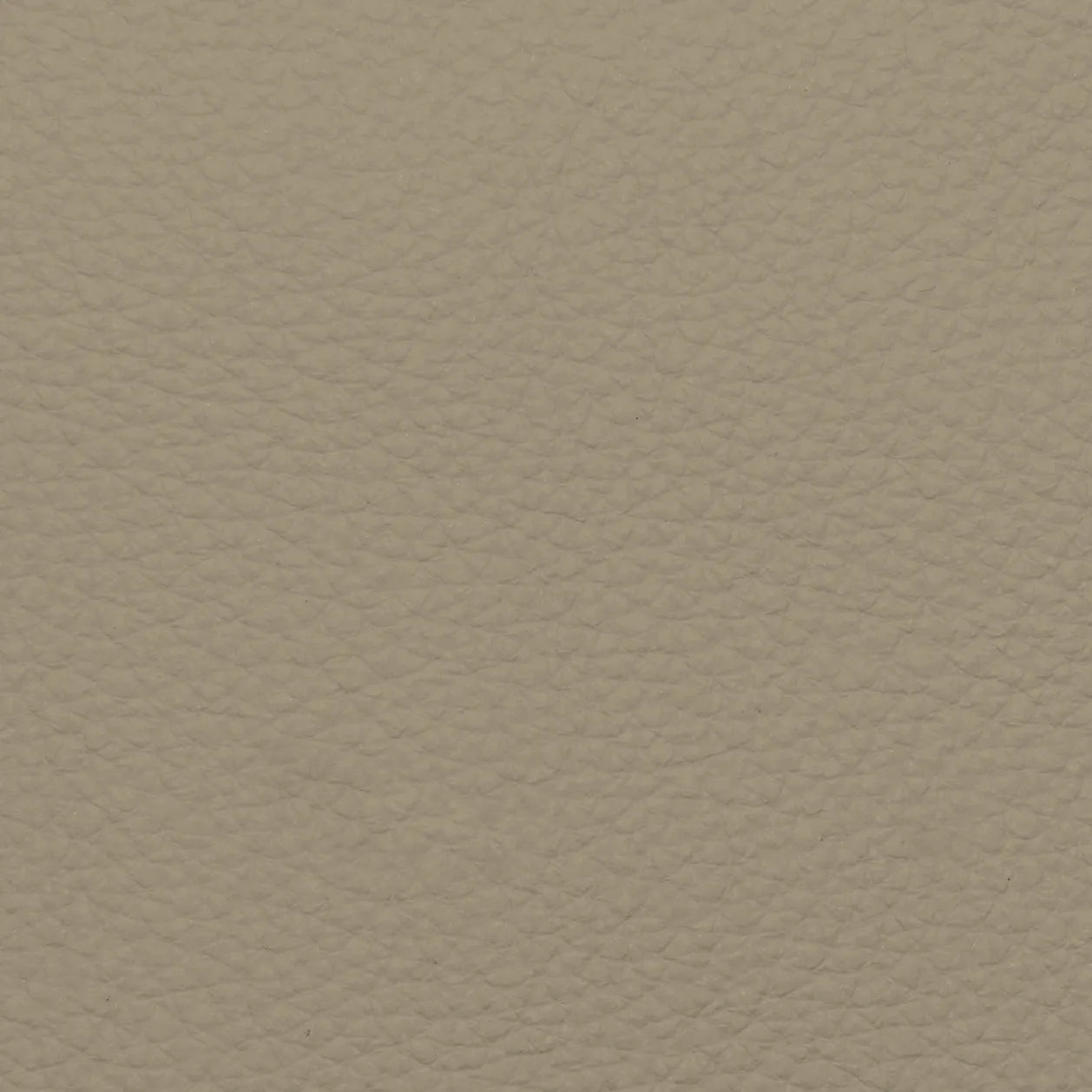 Fabric Sample – Dakota Leather