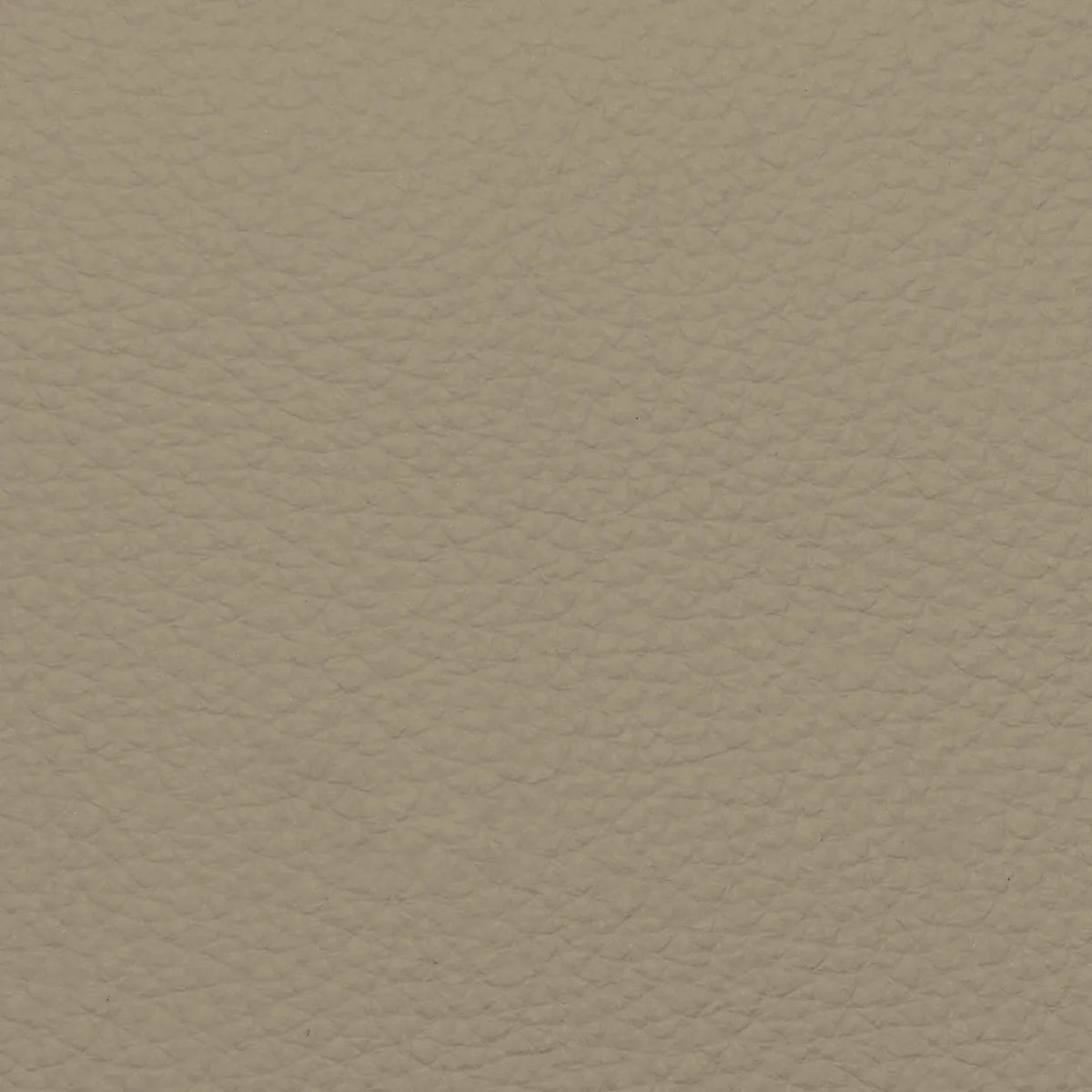 Fabric Sample – Dakota Leather