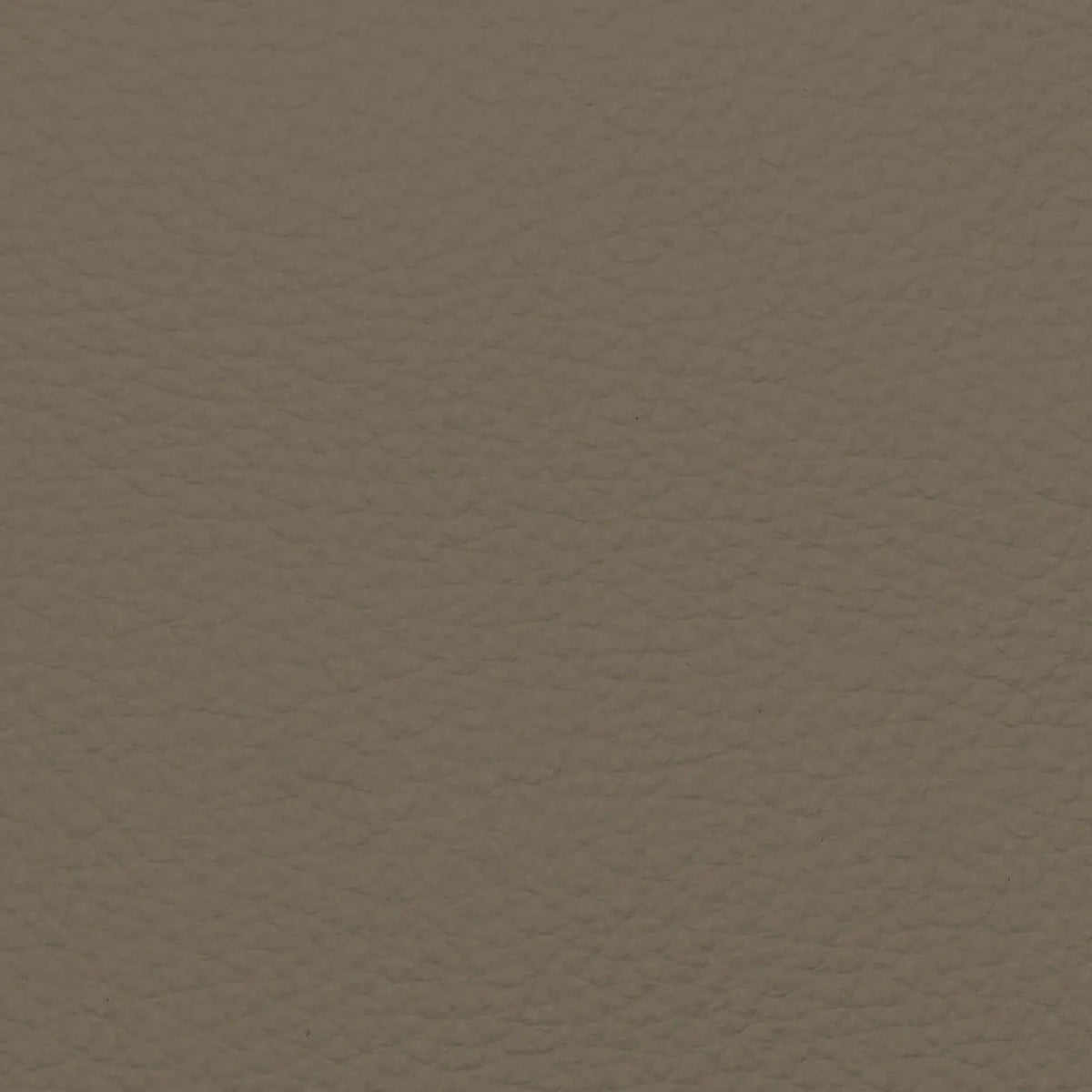 Fabric Sample – Dakota Leather