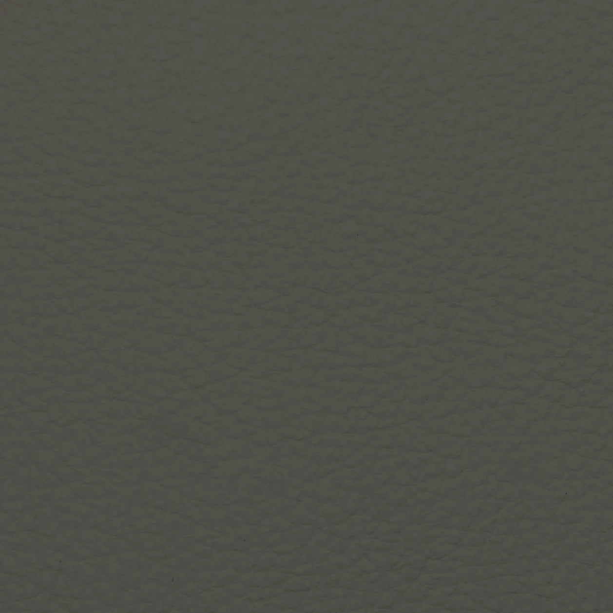 Fabric Sample – Dakota Leather