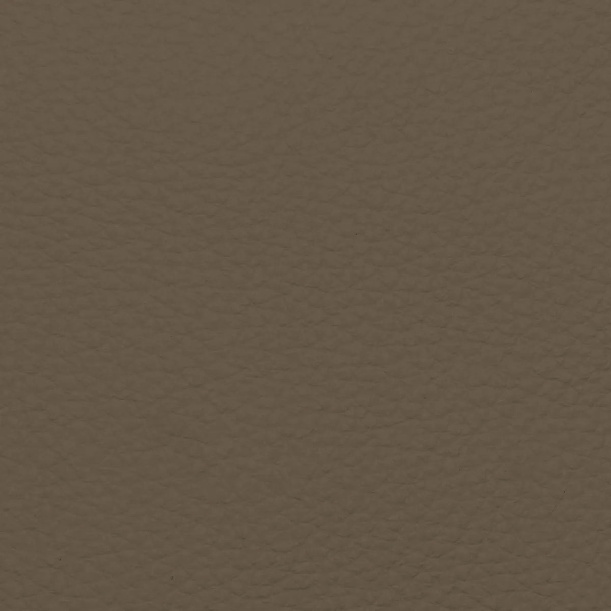 Fabric Sample – Dakota Leather