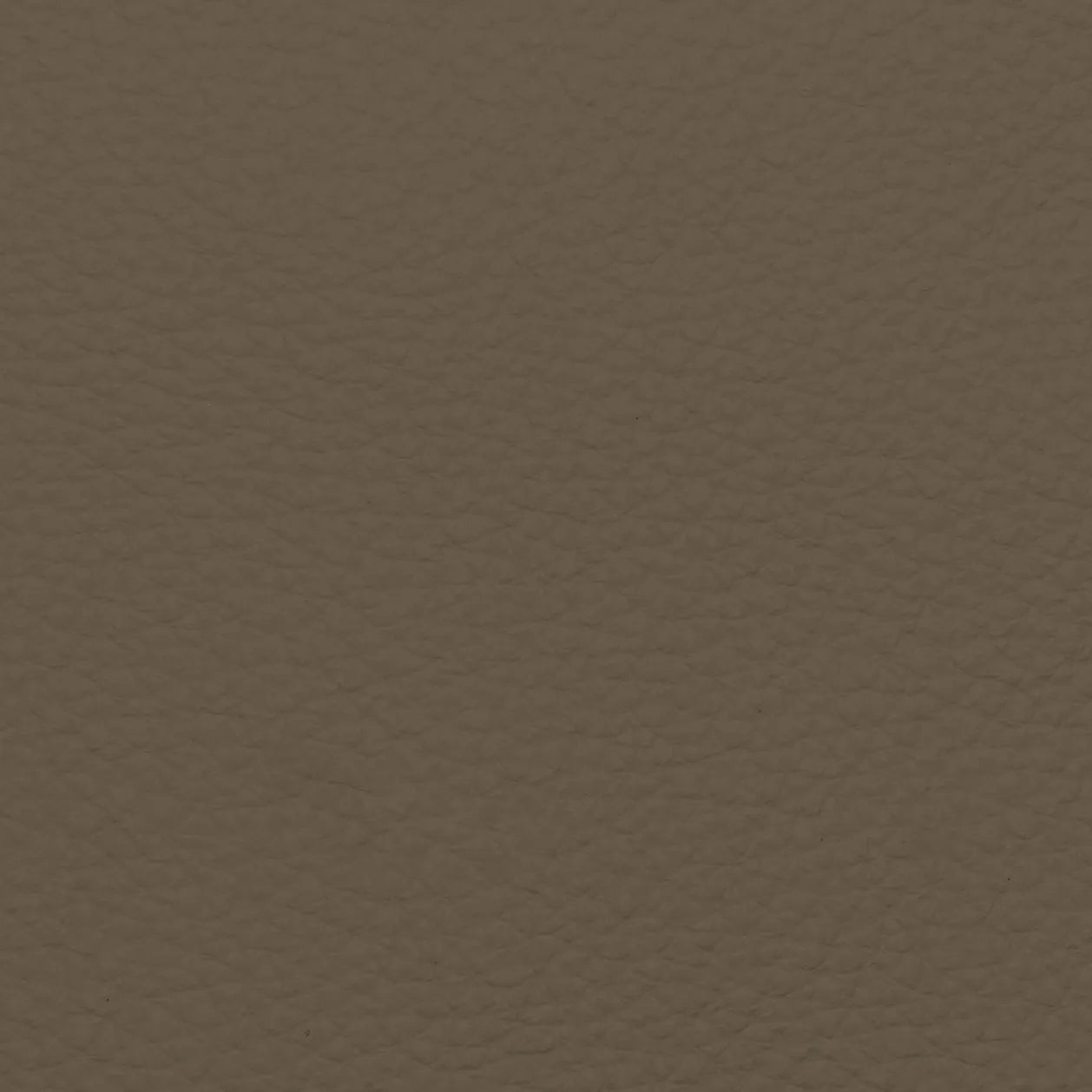 Fabric Sample – Dakota Leather
