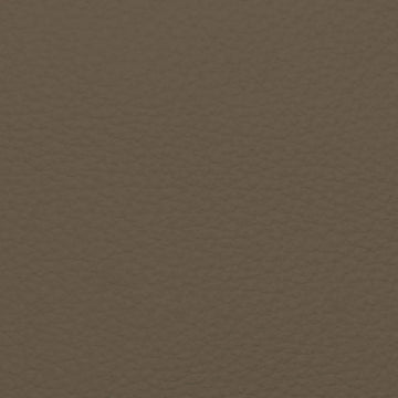 Sandstone