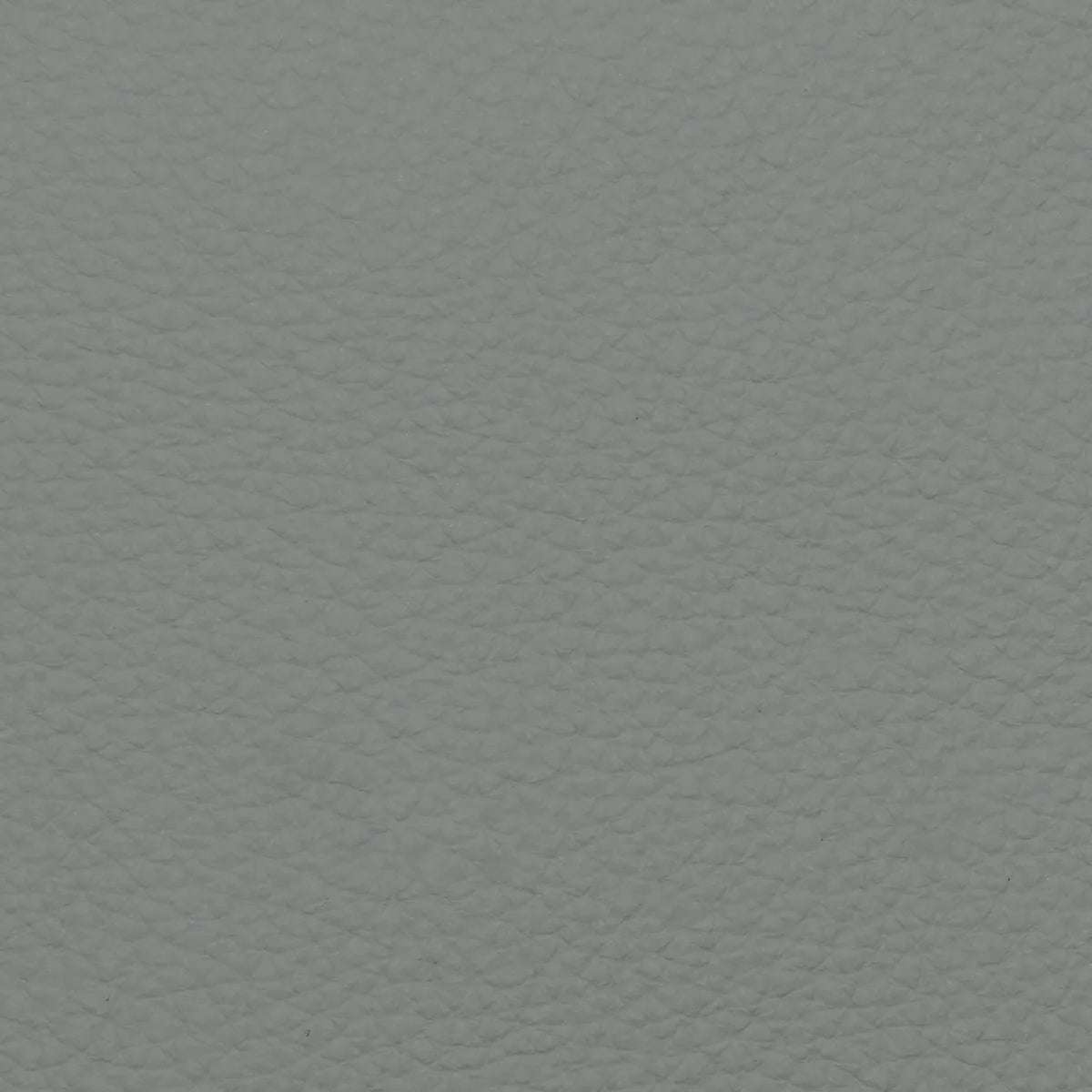 Fabric Sample – Dakota Leather