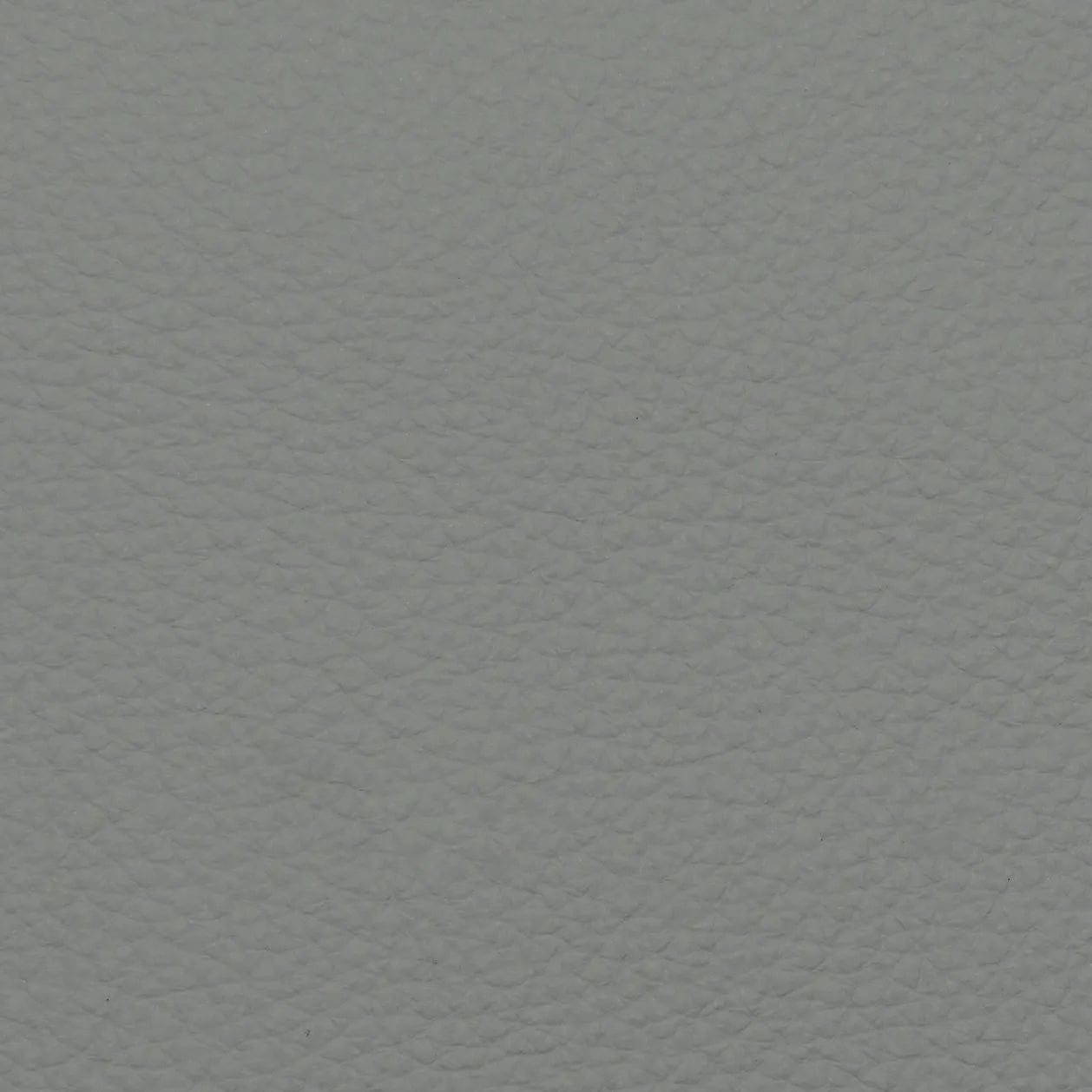 Fabric Sample – Dakota Leather