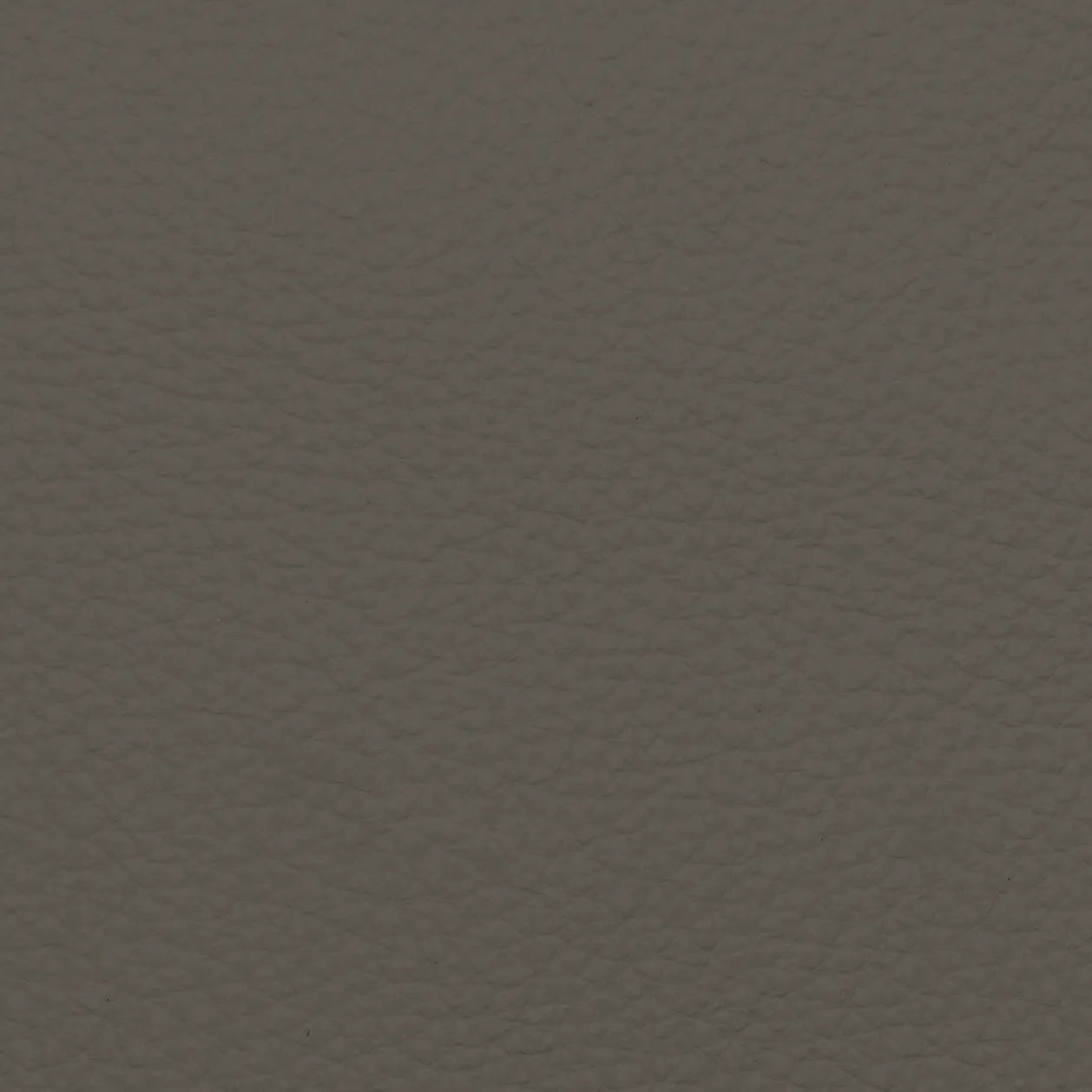 Fabric Sample – Dakota Leather