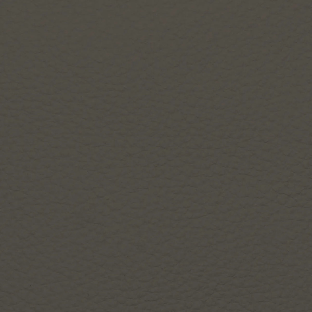 Fabric Sample – Dakota Leather