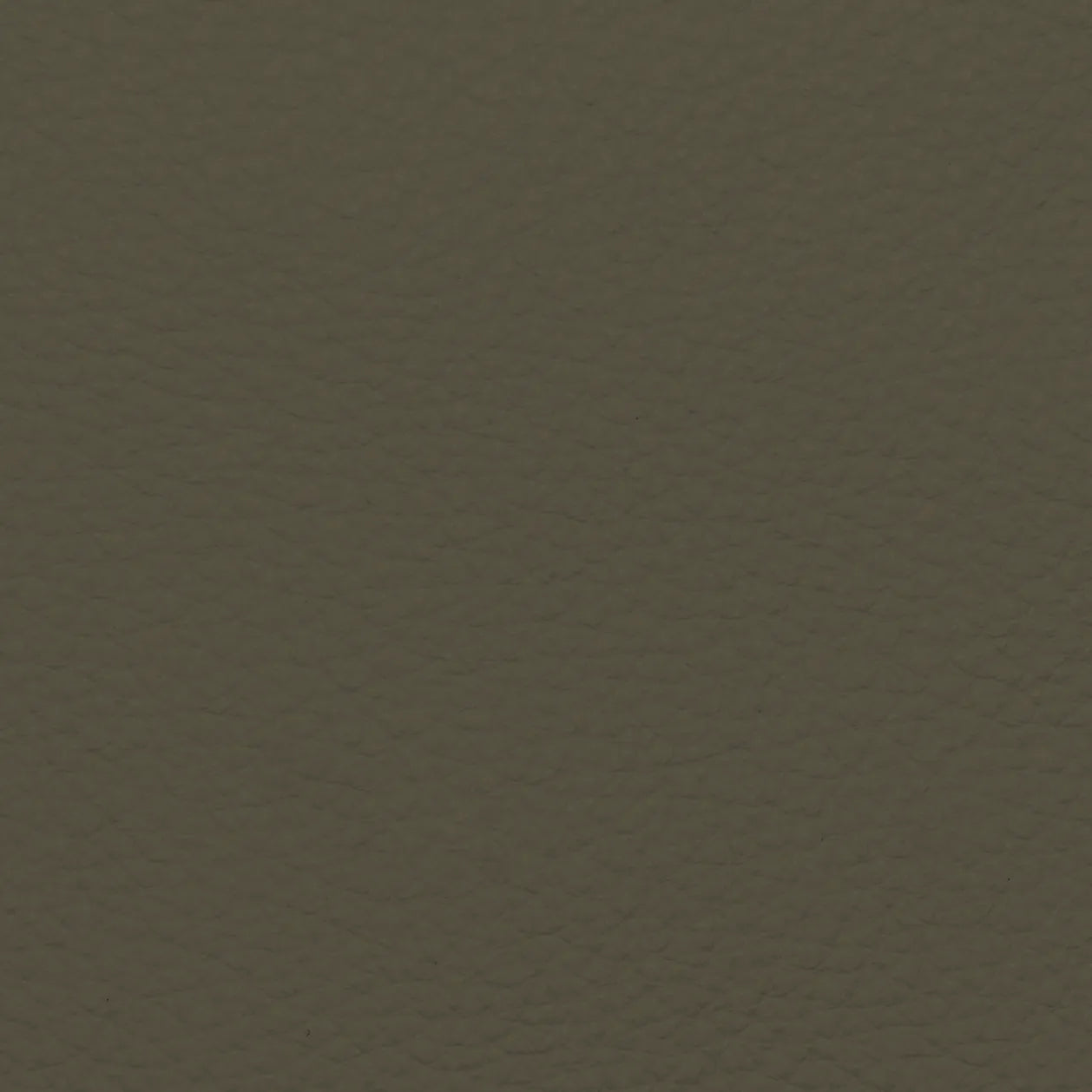 Fabric Sample – Dakota Leather