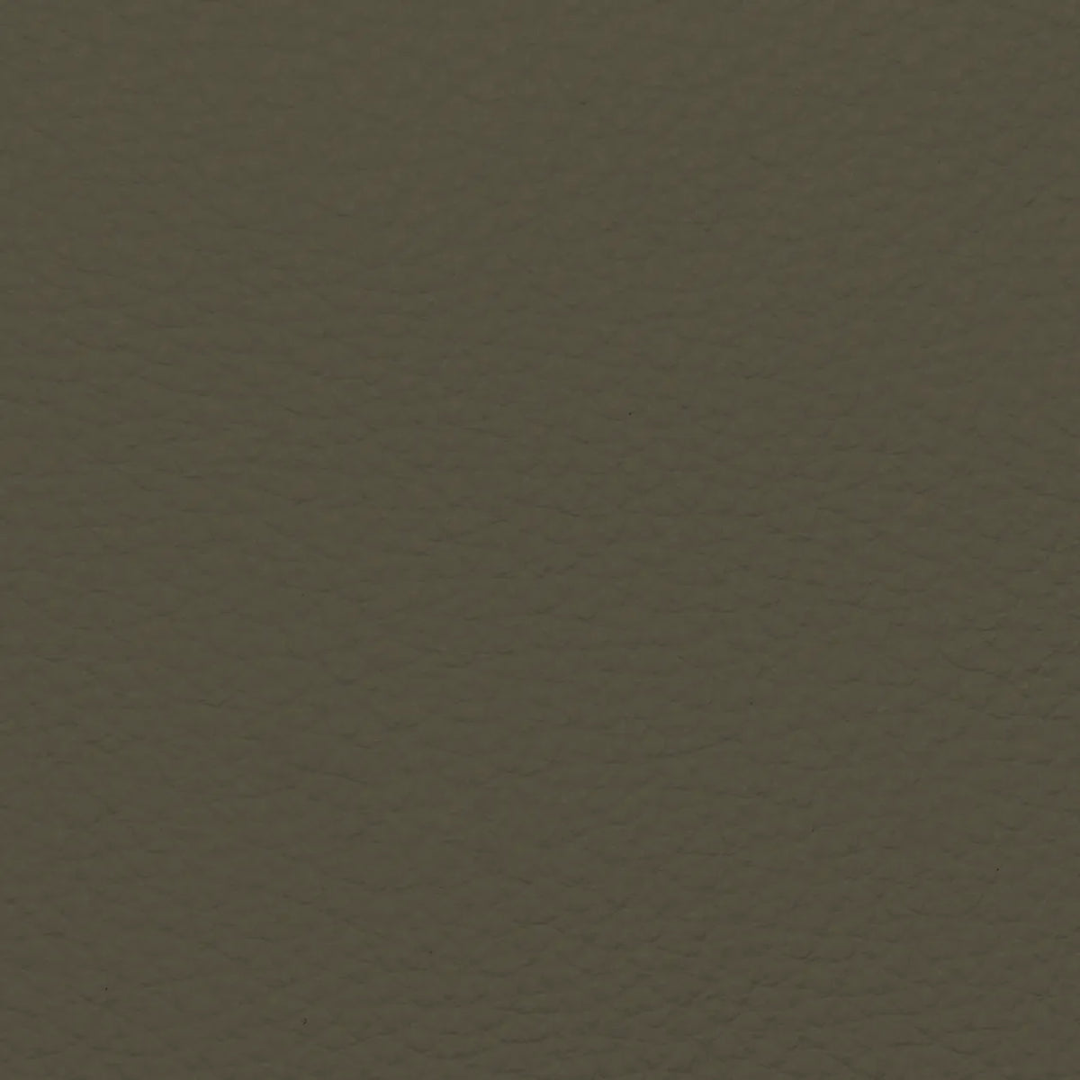 Fabric Sample – Dakota Leather