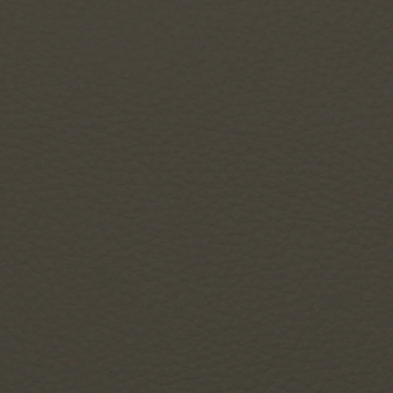 Fabric Sample – Dakota Leather