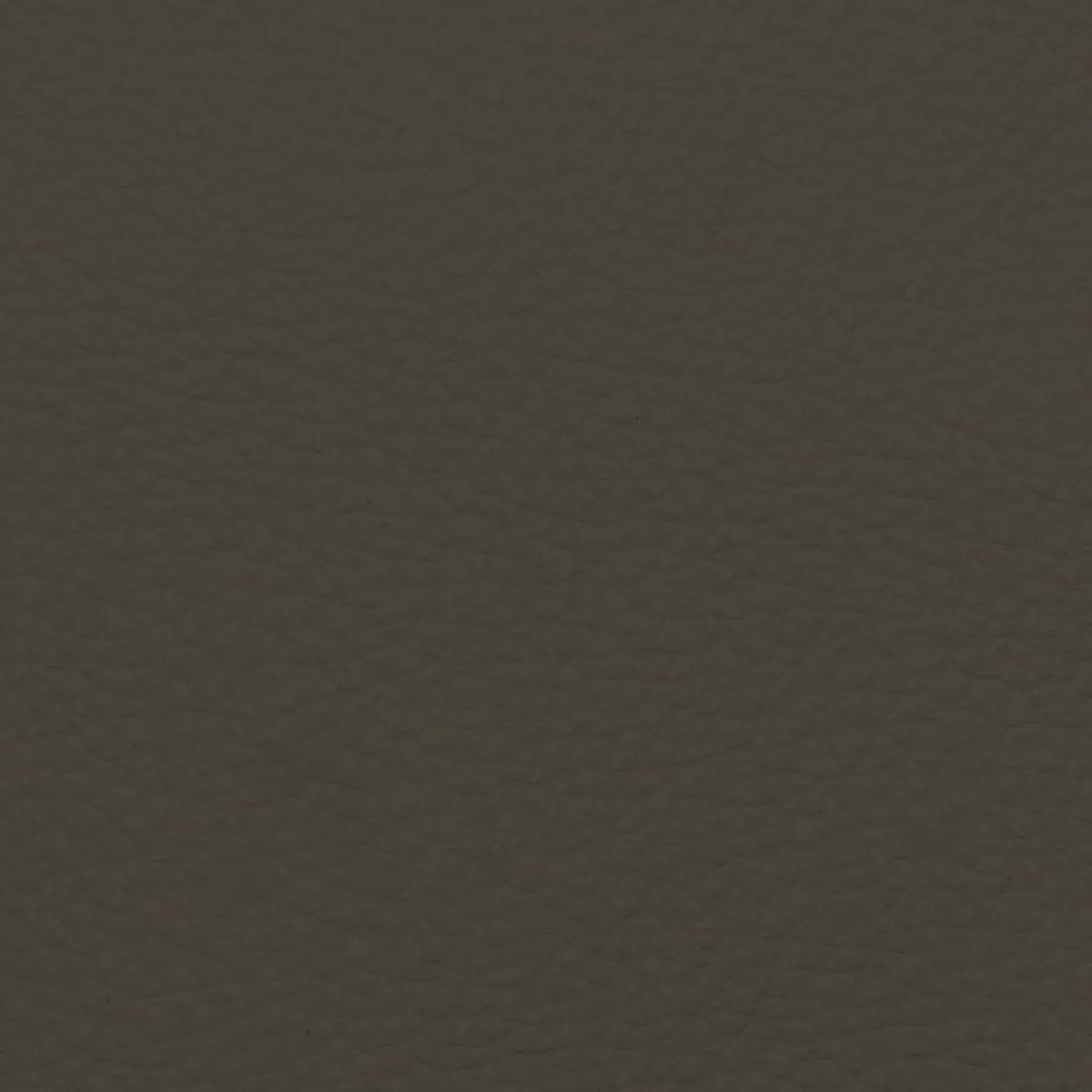 Fabric Sample – Dakota Leather