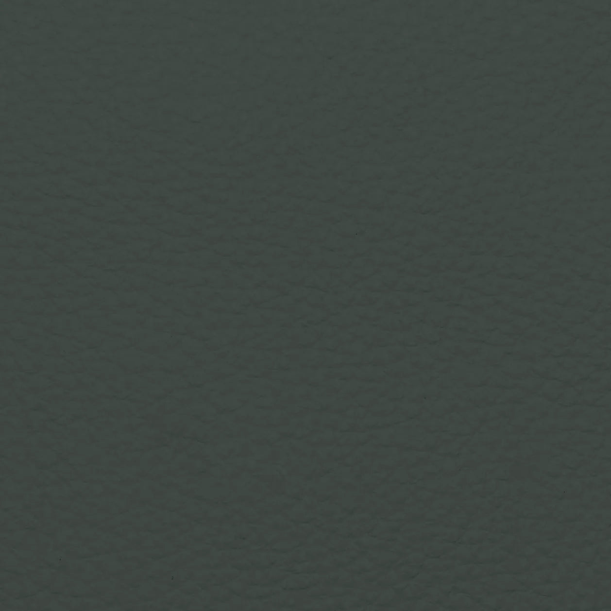 Fabric Sample – Dakota Leather