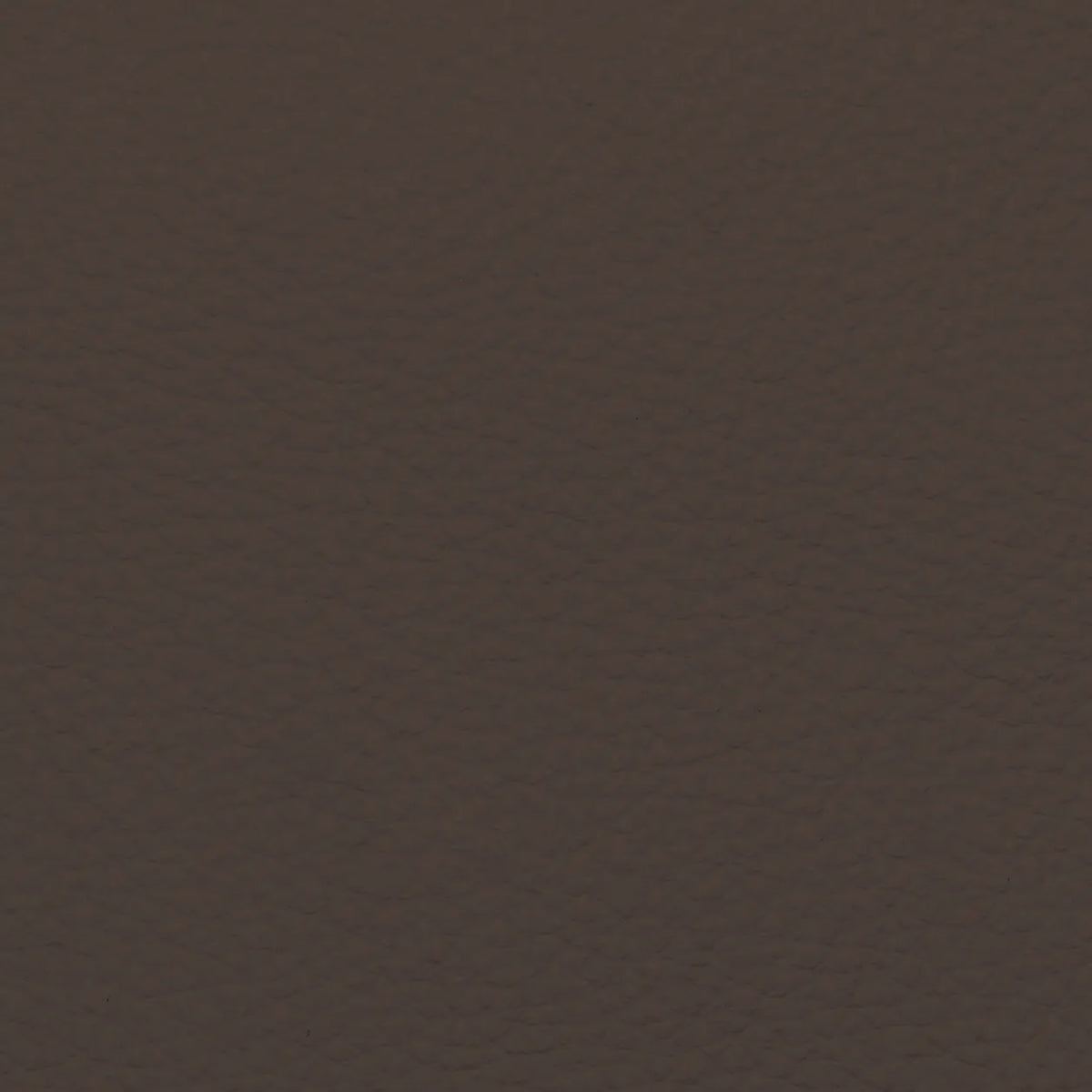Fabric Sample – Dakota Leather