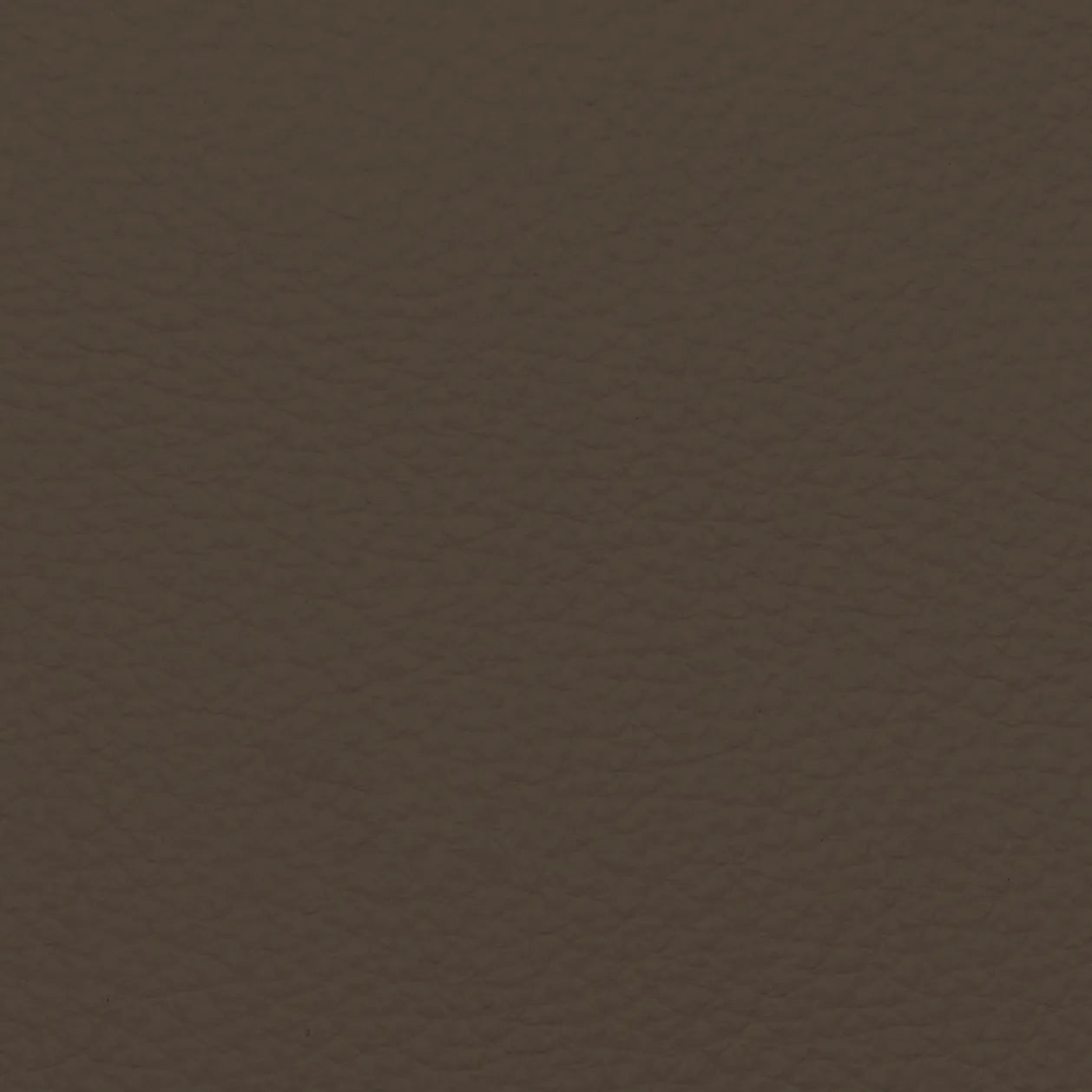 Fabric Sample – Dakota Leather