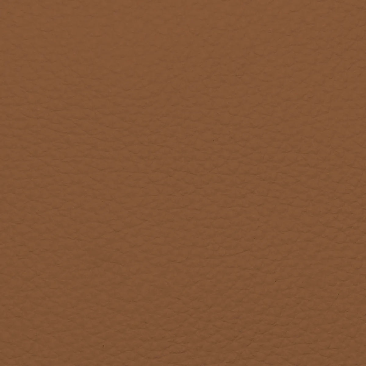 Fabric Sample – Dakota Leather