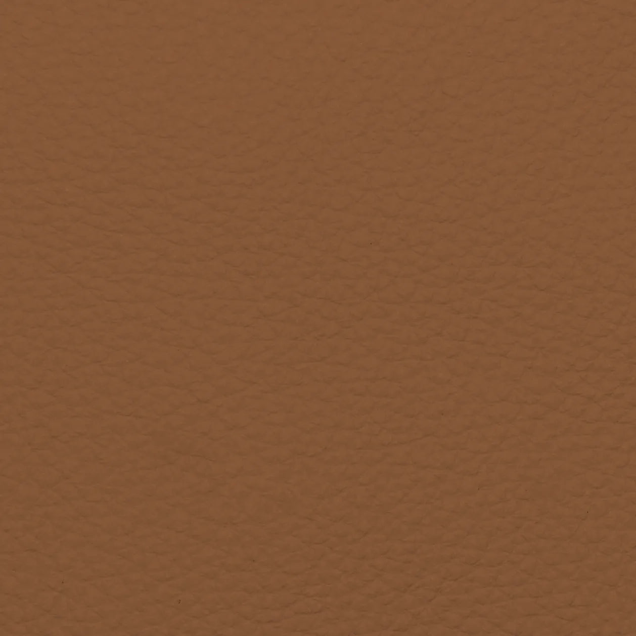 Fabric Sample – Dakota Leather