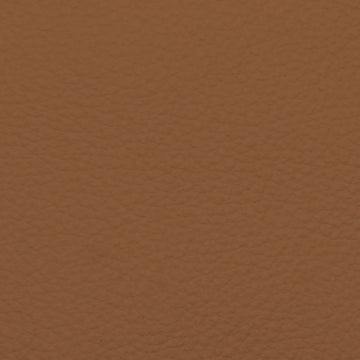 Clay