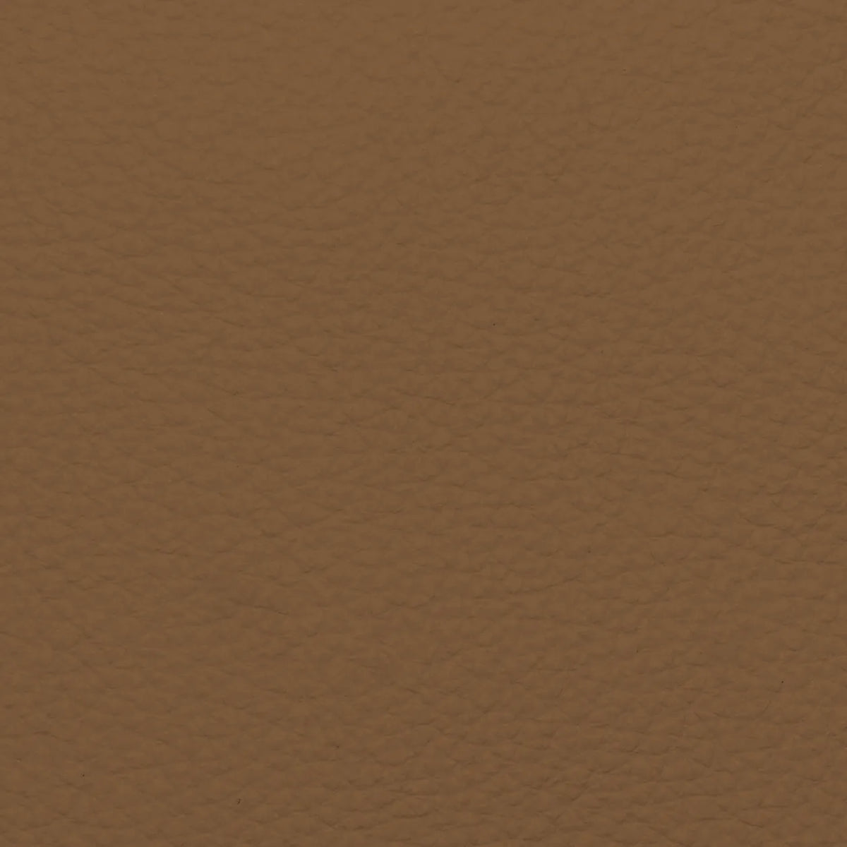Fabric Sample – Dakota Leather