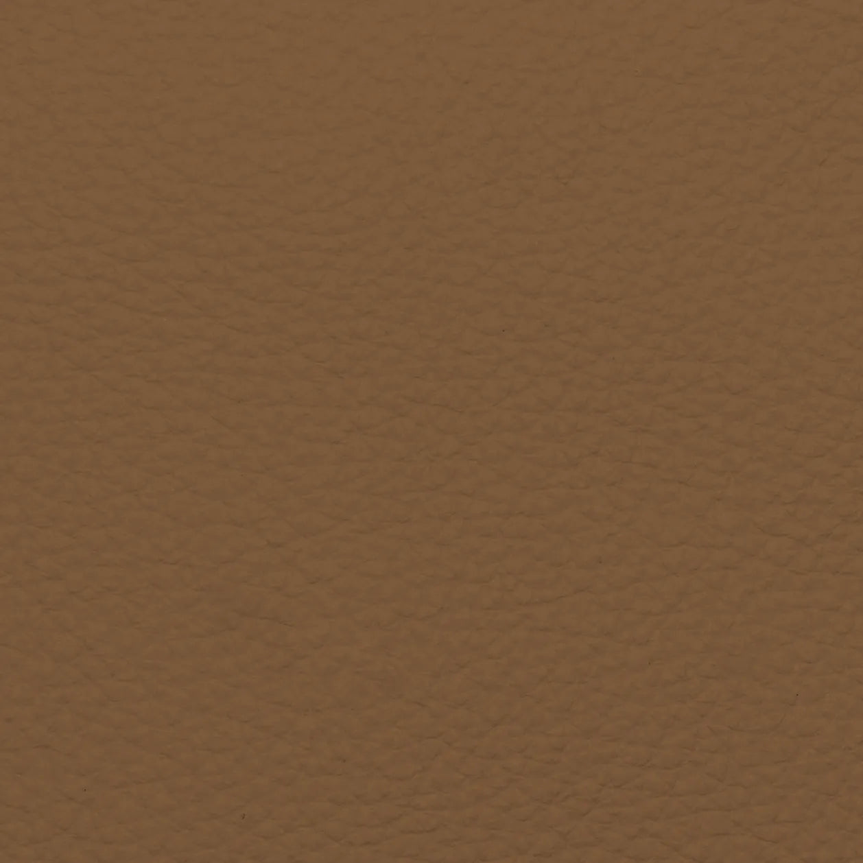 Fabric Sample – Dakota Leather