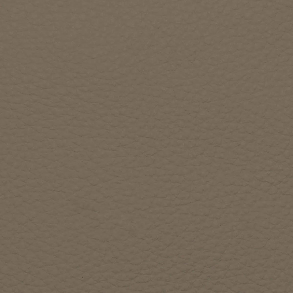 Fabric Sample – Dakota Leather