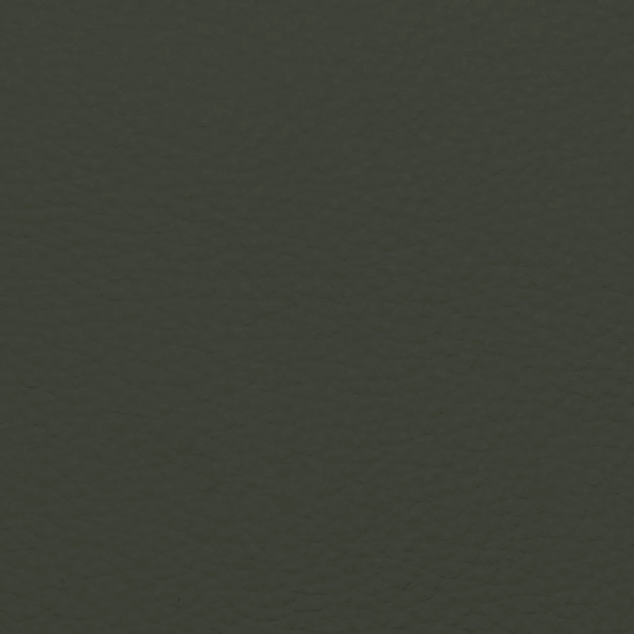 Fabric Sample – Dakota Leather