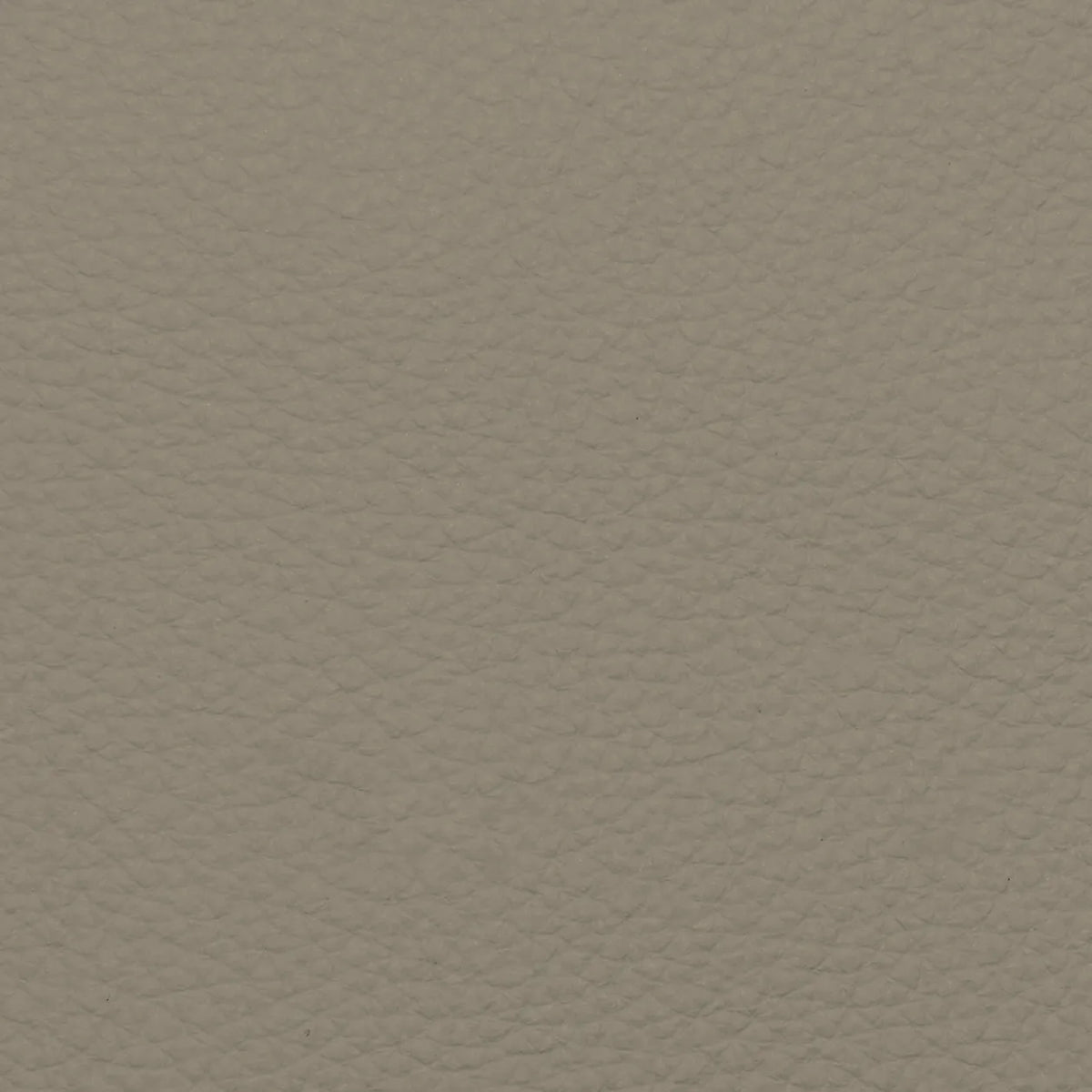 Ashbourne Wool