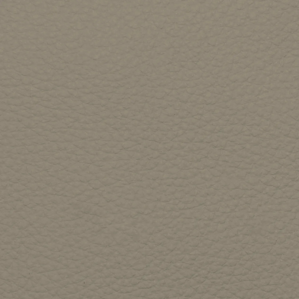 Fabric Sample – Dakota Leather